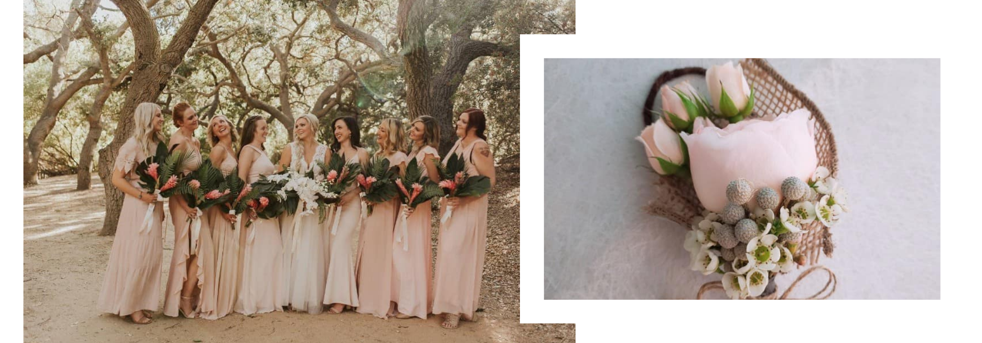 collage of bridal party with bride and pink rose boutonniere